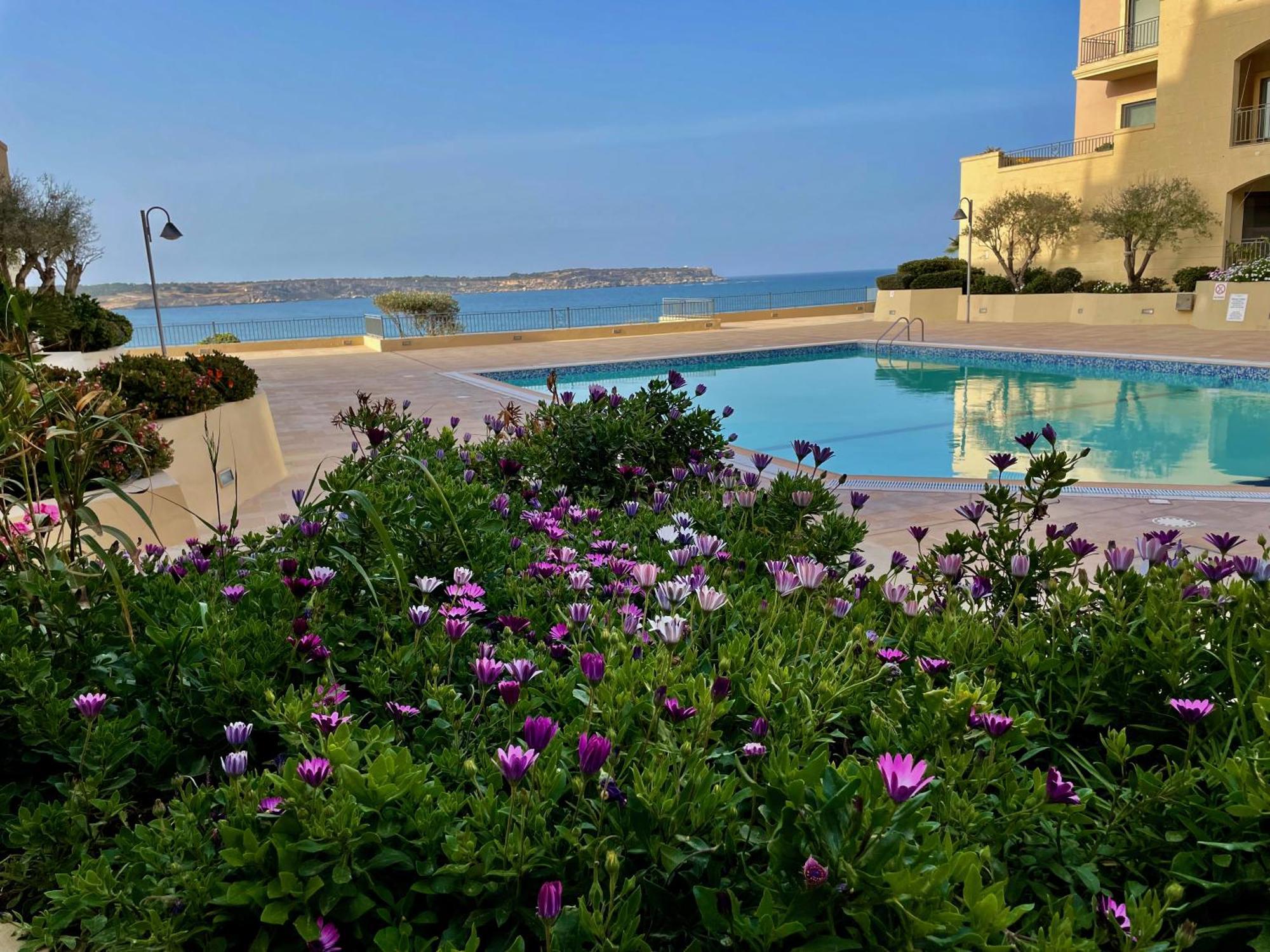 מליאהה Spacious Luxurious Apartment With Seaview מראה חיצוני תמונה